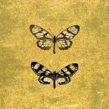 Pair of Butterflies on Black-Joanna Charlotte-Art Print