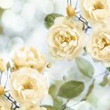 Roses on Gold I-Joanna Lane-Art Print