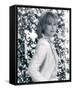 Joanna Lumley-null-Framed Stretched Canvas