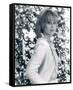 Joanna Lumley-null-Framed Stretched Canvas