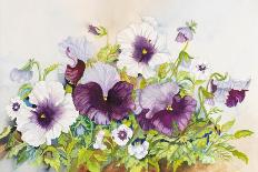 Early Pansies-Joanne Porter-Giclee Print