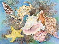 Gifts from the Sea-Joanne Porter-Giclee Print
