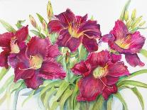 Early Pansies-Joanne Porter-Giclee Print