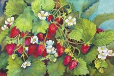 Strawberry Patch - A. Ripe on the Vine-Joanne Porter-Giclee Print