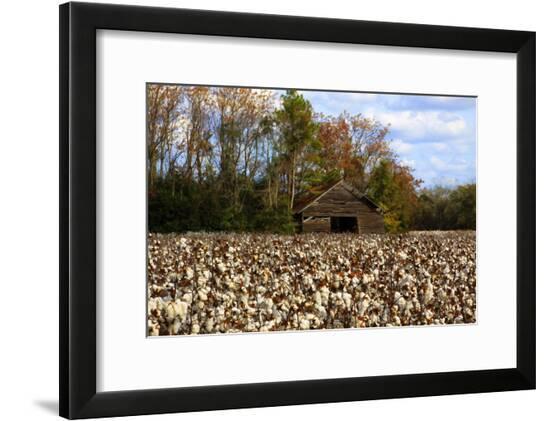 Framed Photographic Print, , large
