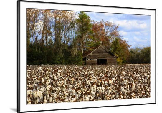 Framed Photographic Print, , large