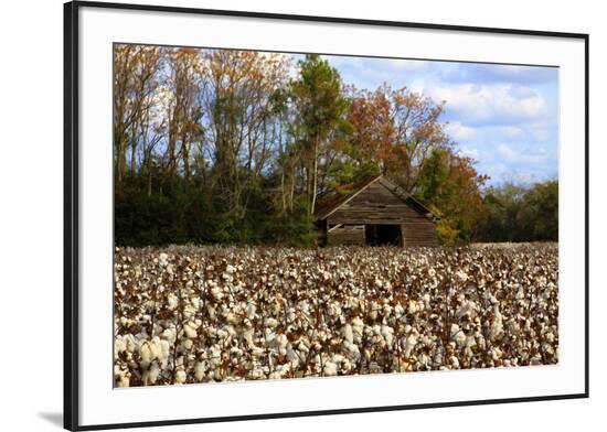 Framed Photographic Print, , large