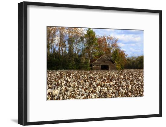 Framed Photographic Print, , large