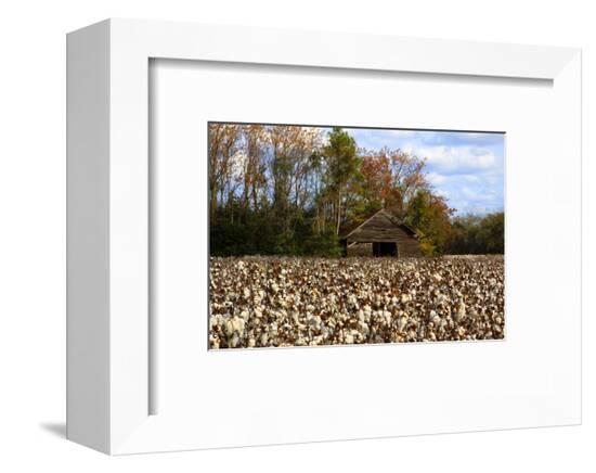 Framed Photographic Print, , large