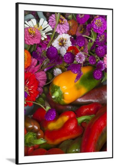 Framed Photographic Print, , large