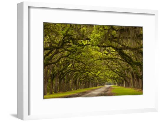 Framed Photographic Print, , large