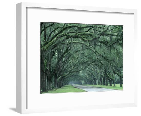 Framed Photographic Print, , large
