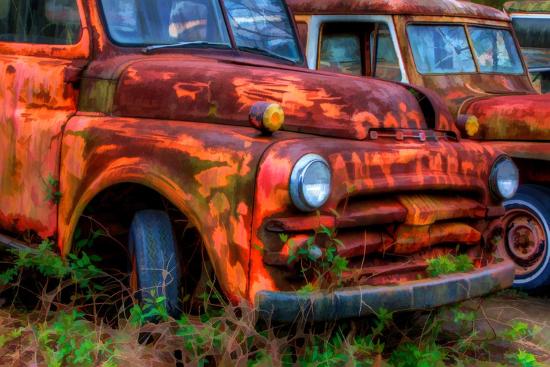 Premium Photographic Print, , large
