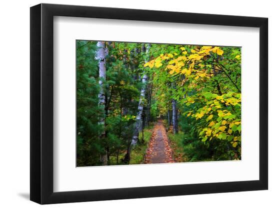 Photographic Print, , large