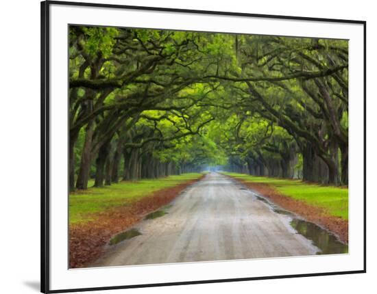 Framed Photographic Print, , large