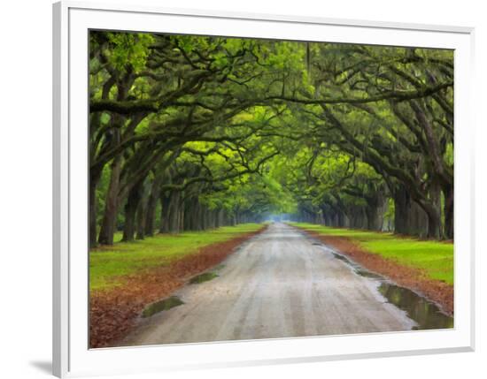 Framed Photographic Print, , large