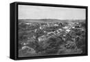 Framed Canvas