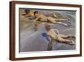 Brown Frame