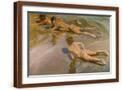 Brown Frame