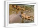 White Frame