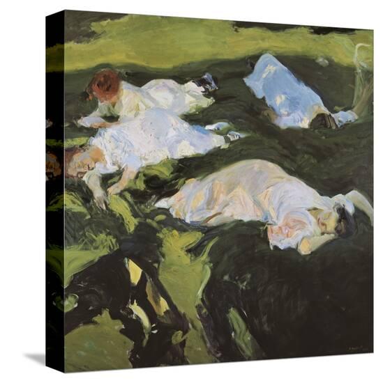 Stretched Canvas Print, , large