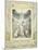 Job Praying (Pl.18) from the Book of Job, C.1793-William Blake-Mounted Giclee Print