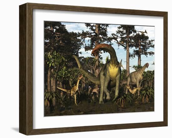 Jobaria Dinosaur Is Menaced by Afrovenators in Jurassic North Africa-Stocktrek Images-Framed Art Print