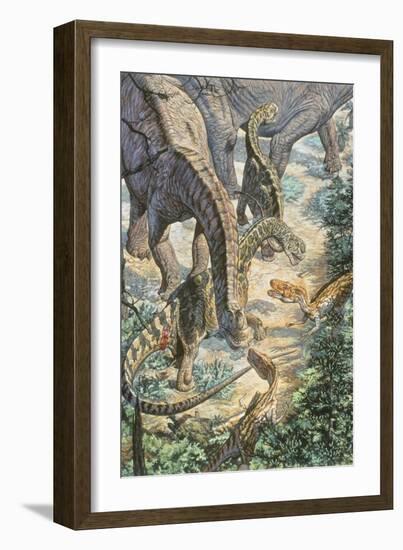 Jobaria Sauropods and Afroventor Raptors of the Mid-Cretaceous Period-null-Framed Art Print