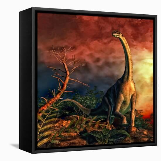 Jobaria Was a Sauropod Dinosaur That Lived During the Middle Jurassic Period-null-Framed Stretched Canvas