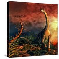 Jobaria Was a Sauropod Dinosaur That Lived During the Middle Jurassic Period-null-Stretched Canvas