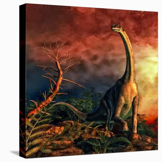 Jobaria Was a Sauropod Dinosaur That Lived During the Middle Jurassic Period-null-Stretched Canvas