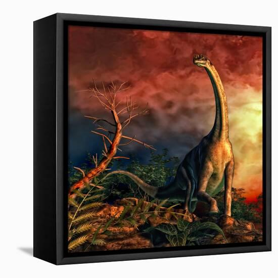 Jobaria Was a Sauropod Dinosaur That Lived During the Middle Jurassic Period-null-Framed Stretched Canvas