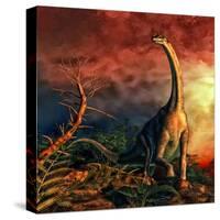 Jobaria Was a Sauropod Dinosaur That Lived During the Middle Jurassic Period-null-Stretched Canvas