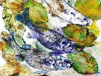 Cormorant Dive-jocasta shakespeare-Giclee Print