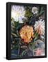 Essential Black
