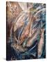 Stretched Canvas