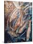 Stretched Canvas