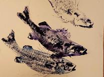 shoal of fish (oil on canvas)-jocasta shakespeare-Giclee Print