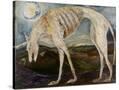 Stretched Canvas
