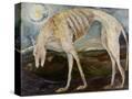 Stretched Canvas