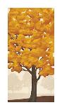 Autumn's Glory I-Jocelyn Anderson-Framed Giclee Print