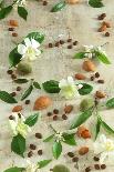 Orange and Almond Blossom, Coffee Beans and Almonds-Jocelyn Demeurs-Stretched Canvas