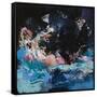 Canvas Black