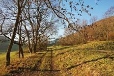 Country Road, Swabian Alb, Baden-Wurttemberg, Germany, Europe-Jochen-Framed Stretched Canvas