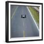 Jochen Rindt Driving a Cooper Maserati in the French Grand Prix, Reims, France, 1966-null-Framed Photographic Print