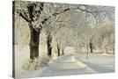 Stretched Canvas
