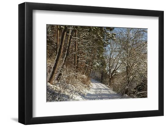 Photographic Print, , large