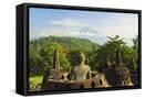 Framed Canvas