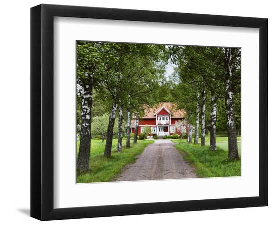 Photographic Print, , large