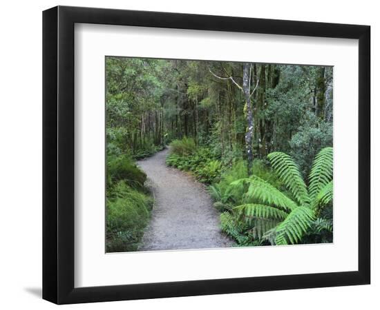 Premium Photographic Print, , large